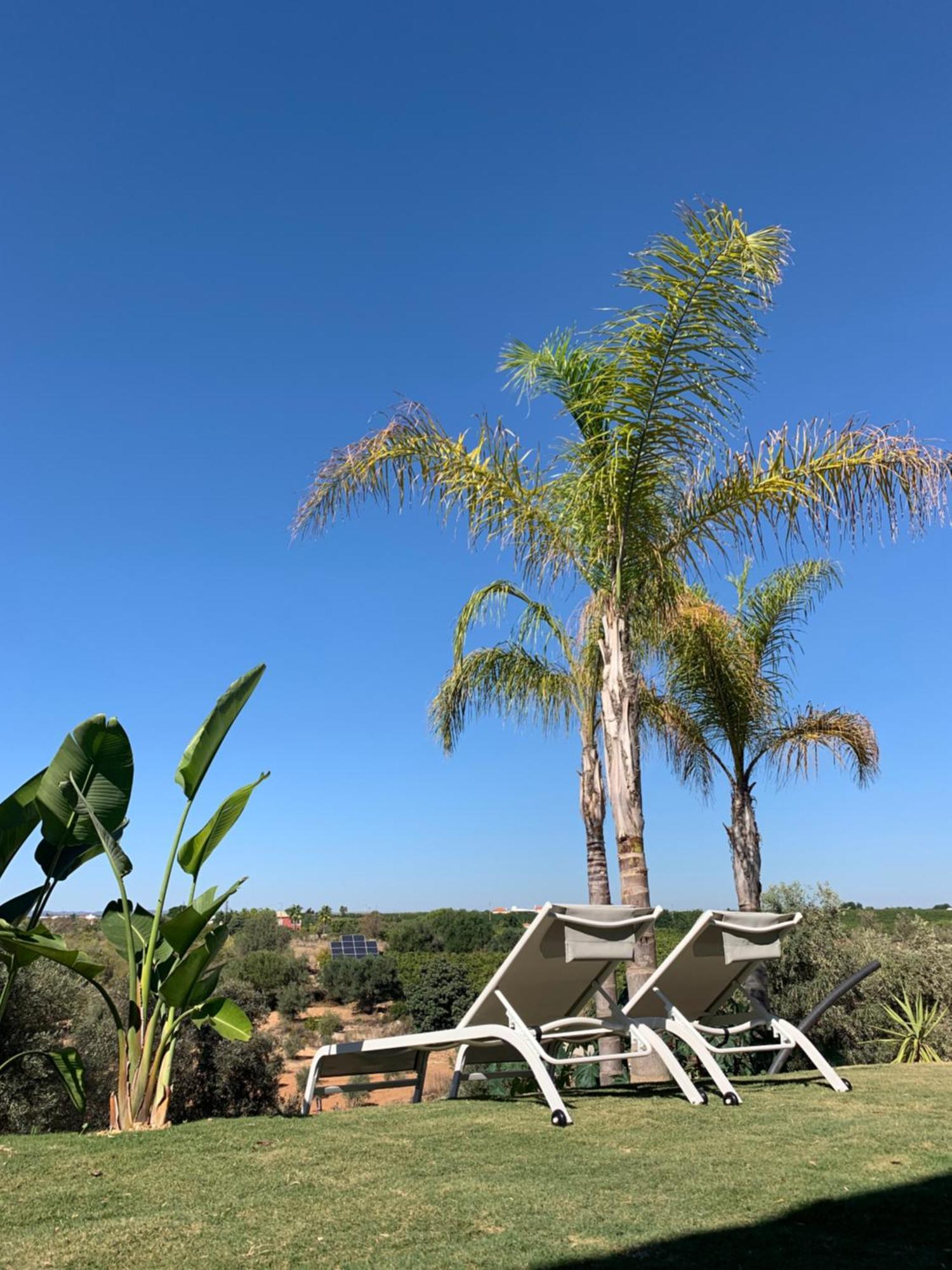 B&B Quinta A Fonte Tavira - Adults Only Экстерьер фото